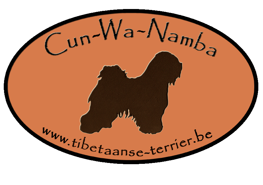 logo cwn